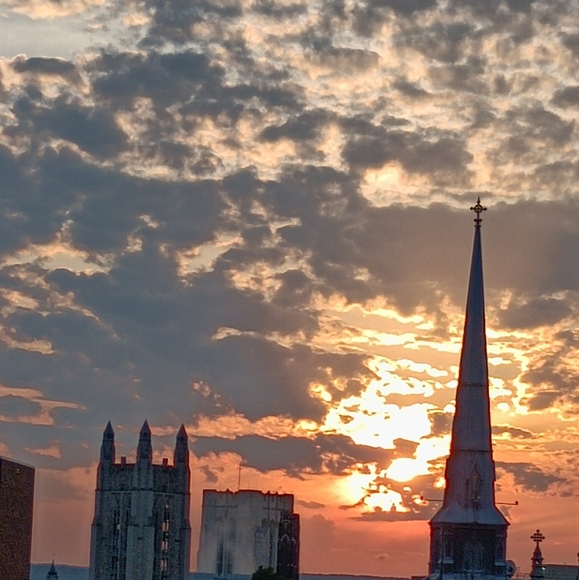 Meet your Posher, Mary - Picture 4 of 5